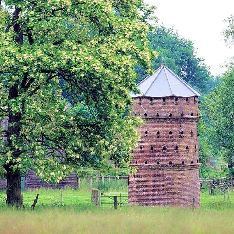 Rhenen – Remmerstein
